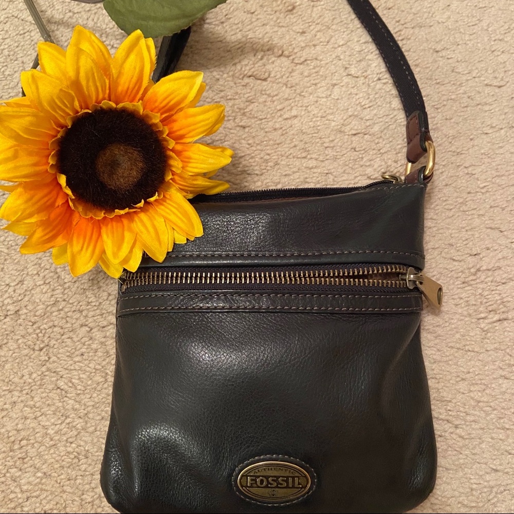 Fossil Crossbody Bag